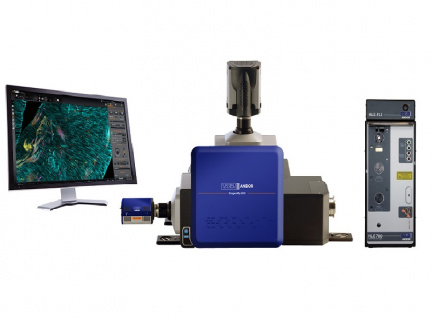 Dragonfly 600 confocal microscope
